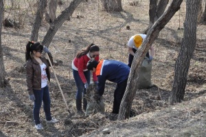 Citywide cleanup